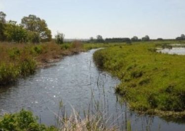 A river flowing through marshland