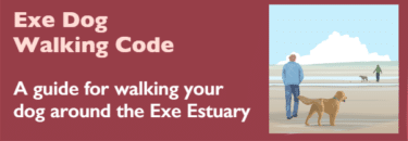 Exe Dog Walking Code of Conduct leaflet