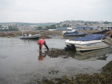 a fisherman digging for bait by hand