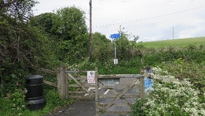A gateway through a hedge onto a road.