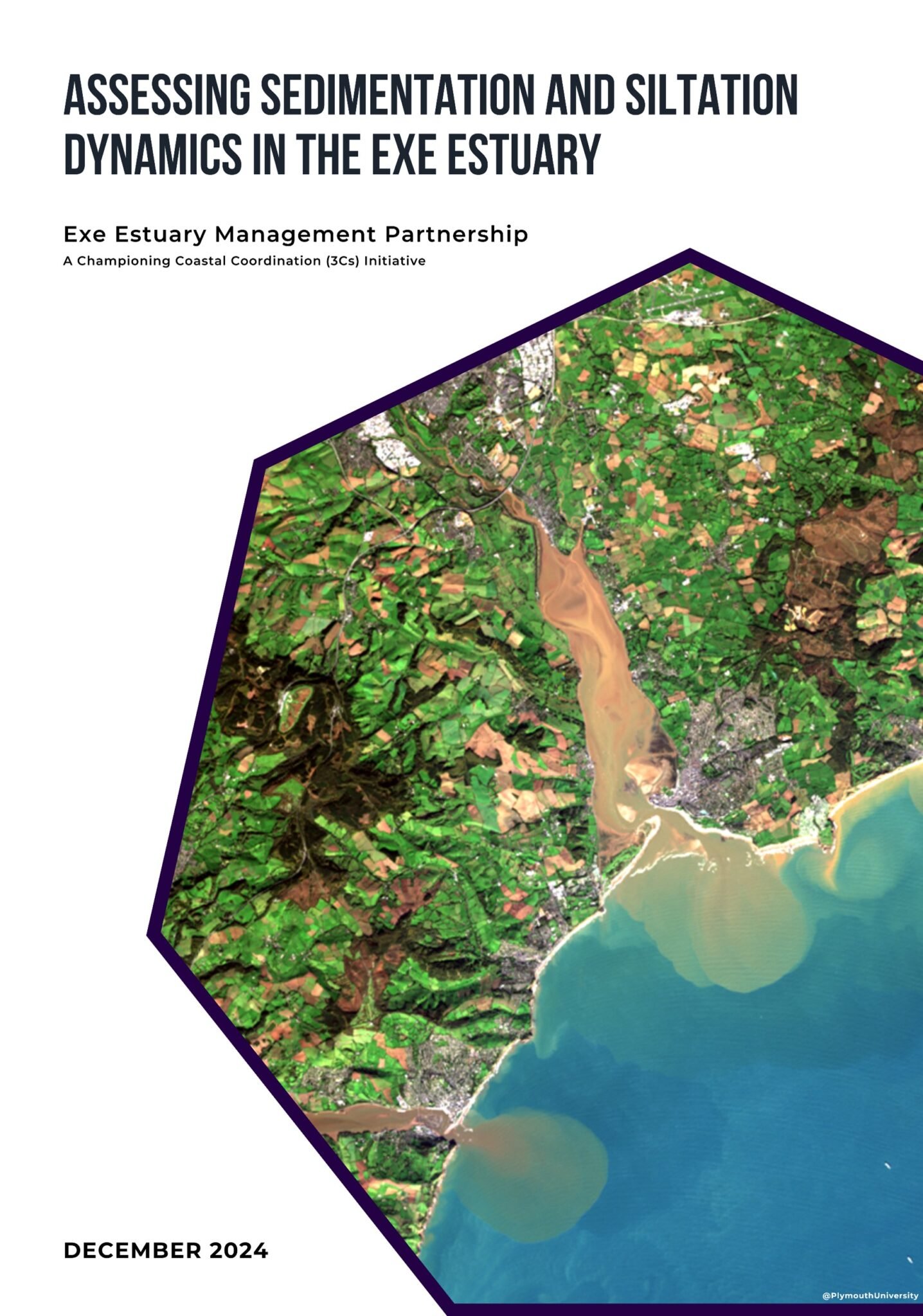 Assessing sedimentation and siltation dynamics in the Exe Estuary